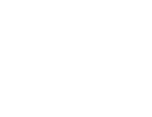 El Cóndor